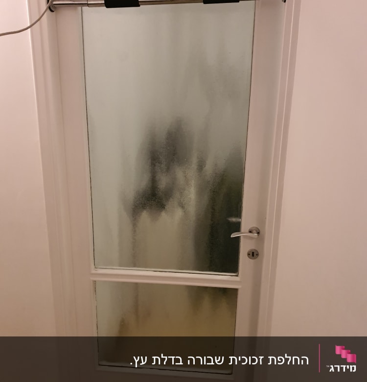 דלת זכוכית חלבית עם ידית מתכת